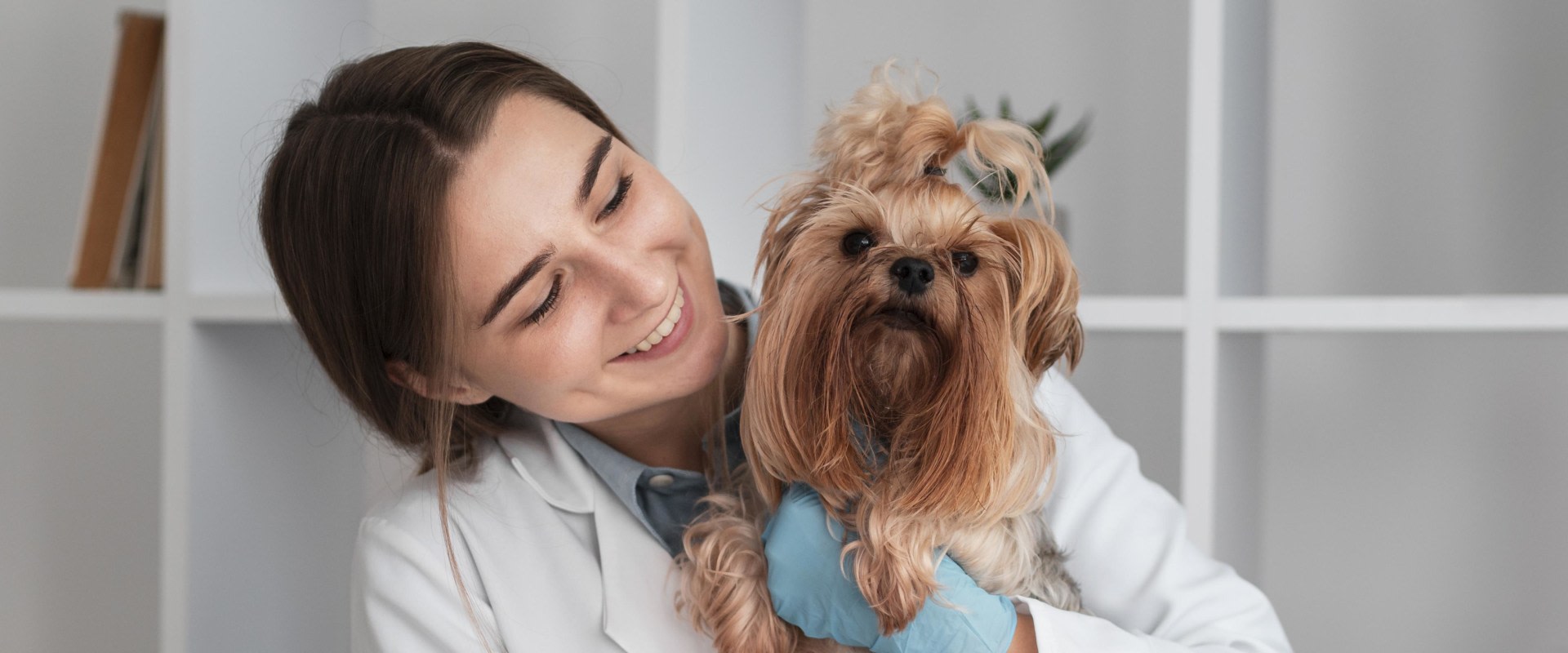 What is pet wellness coverage?