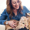 What types of activities are appropriate for different types of pets (e.g. cats, dogs, birds, etc.)?