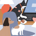 What type of insurance coverage should i consider for my pet's health and well-being?