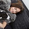What material is most resistant to pet hair?