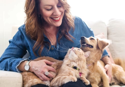 What types of activities are appropriate for different types of pets (e.g. cats, dogs, birds, etc.)?