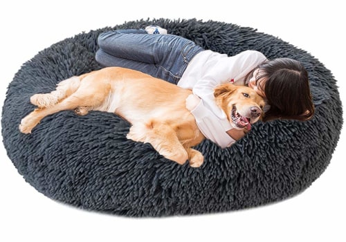 Orthopedic Dog Beds Combined With Magnet Wave Therapy Can Enhance Your Dogs Health