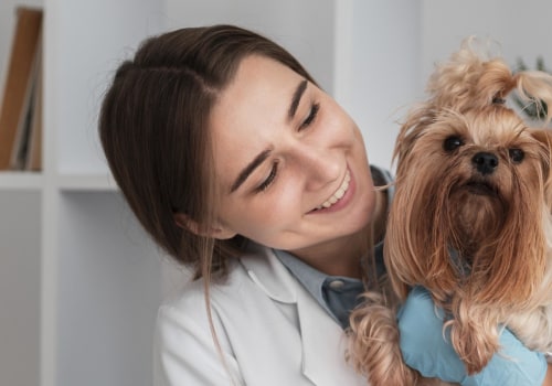 What is pet wellness coverage?