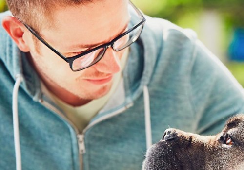 What are the best ways to keep a pet healthy?